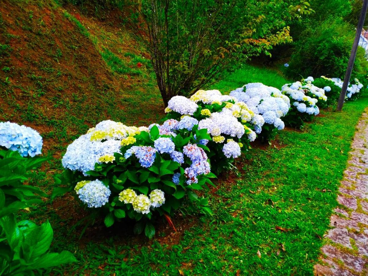 Colonia Saa Otel Campos do Jordao Dış mekan fotoğraf