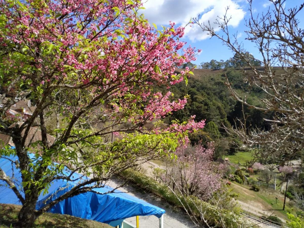 Colonia Saa Otel Campos do Jordao Dış mekan fotoğraf